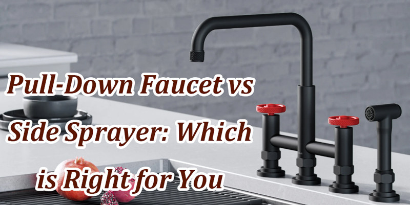 pull down faucet vs side sprayer 1