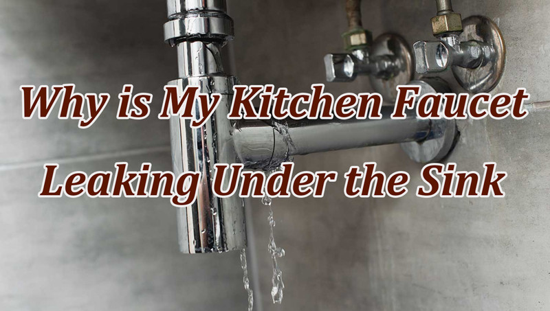 Why is My Kitchen Faucet Leaking Under the Sink